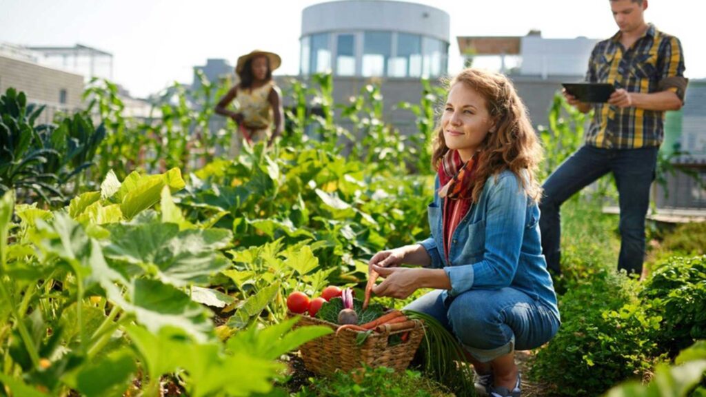 Lawn Greenhouse & Pets